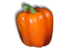 Captcha image 2496