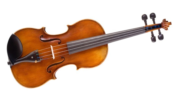 Viola